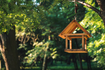 Tipps für Arbeiten im Garten