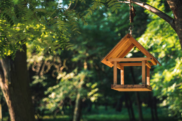 Vogelhäuschen im privaten Garten